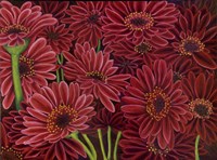 Gerbera Ruby Fine Art Print