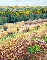 NY Autumn Grasses Littletree Fine Art Print