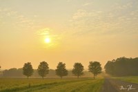 Country Morning Glow Fine Art Print