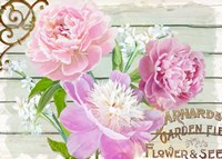 Farm Seed Peonies Fine Art Print