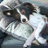 Couch Collie Fine Art Print