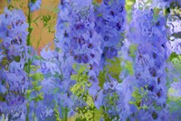 Fluid Flowers I Fine Art Print