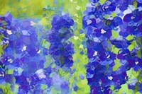 Fluid Flowers V Fine Art Print