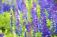 Fluid Flowers VIII Fine Art Print