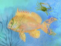 Orange Fish Sea Life Fine Art Print
