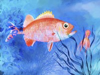 Red Fish Sea Life Fine Art Print