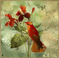 Hummingbird Red Fine Art Print