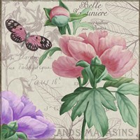 Vintage Flowers II Framed Print