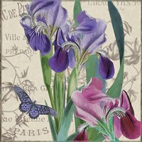 Vintage Flowers III Fine Art Print
