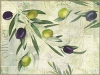 Olives de Nice Framed Print
