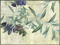 Olives de Nyons Framed Print