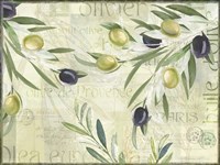 Olives de Provence Fine Art Print