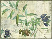 Olives Picholines Framed Print