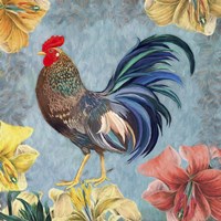 Rooster IV Framed Print