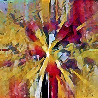 Dragonfly Fine Art Print