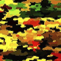 Reflections of Fall Camo Fine Art Print