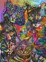 Bed Cats Fine Art Print