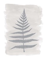 Fern1 F Fine Art Print