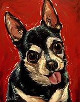 Chihuahua On Red Fine Art Print