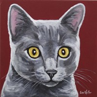 Gray Cat Oliver Fine Art Print