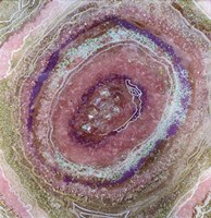 Pink Quartz Fine Art Print