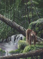 Deep Woods Fisherman Fine Art Print