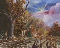 Wrong Side Of The Tracks Fine Art Print