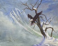 Winter Perch Fine Art Print