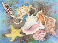 Gifts from the Sea Fine Art Print