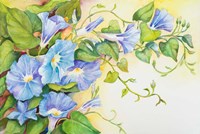 Trailing Vine Morning-Glories Fine Art Print