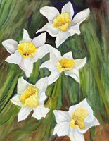 Daffodils with Nodding Heads Fine Art Print
