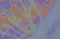 Evening Soak Fine Art Print