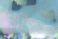 Windows Fine Art Print