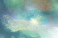 Daisy Chain Fine Art Print