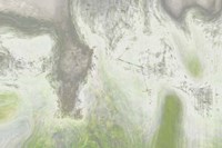 Peanut Bagels Fine Art Print