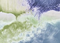 Pine Cone Fine Art Print