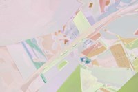 Acacia 1 Fine Art Print