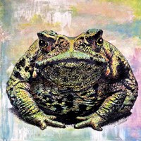 Toad Color Fine Art Print