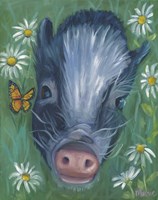 Wilbur And Friend Fine Art Print