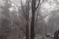 Always Together In Joy And Sorrow Fine Art Print