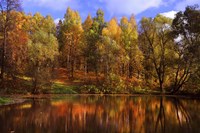 Autumn Reflections Fine Art Print