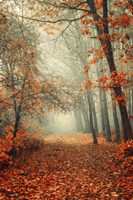 Autumn Rust Fine Art Print