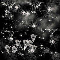 Black Square Fine Art Print