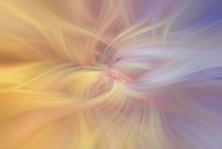 Mystery of Colors Art of Harmony Fine Art Print