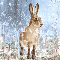 Winter Hare Fine Art Print