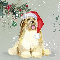 Dog In Christmas Hat Fine Art Print