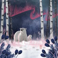 Northern Lights Fine Art Print