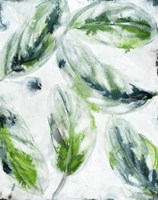 leaf scatter 2 Fine Art Print