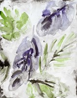 Persian Woods Fine Art Print