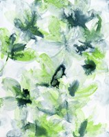 Photosynthesis 2 Fine Art Print